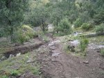 bici 025.jpg