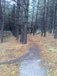 20042008728.JPG