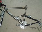 7507_1.jpg