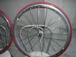 fto12r.jpg
