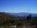 IMG_0348.jpg