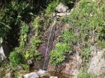 IMG_0406.jpg