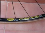 copia mavic cosmos 4.jpg