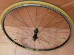 copia mavic cosmos 5.jpg