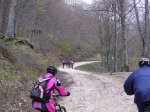 dscn1684_1.jpg
