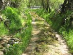 camino 1 enfrente [800x600].JPG