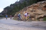 orbea 2008 020.jpg