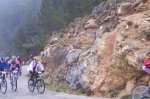 orbea 2008 052.jpg