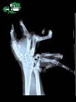 1201369571_mano.jpg