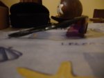 DSC03910.JPG