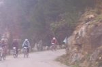 orbea 2008 080.jpg