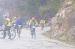 orbea 2008 098.jpg