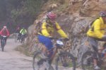 orbea 2008 099.jpg