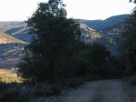 mini-IMG_2696.JPG