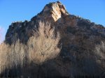 mini-IMG_2718.JPG