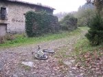 ERNIO (05-XII-10) 001 (Medium).jpg