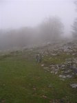 ERNIO (05-XII-10) 010 (Medium).jpg
