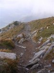 ERNIO (05-XII-10) 018 (Medium).jpg