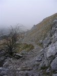 ERNIO (05-XII-10) 020 (Medium).jpg