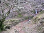 ERNIO (05-XII-10) 027 (Medium).jpg