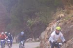 orbea 2008 120.jpg