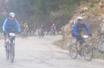 orbea 2008 136.jpg