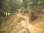crcuitillo 023.jpg
