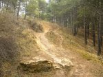 crcuitillo 024.jpg