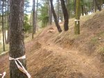 crcuitillo 018.jpg