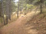 crcuitillo 022.jpg