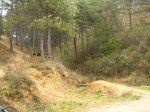 crcuitillo 032.jpg