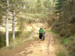 crcuitillo 036.jpg