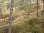 crcuitillo 038.jpg
