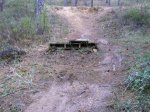 crcuitillo 040.jpg