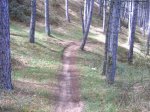 crcuitillo 041.jpg
