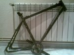 decathlon nestor5.jpg