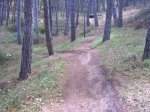 crcuitillo 043.jpg