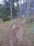 crcuitillo 047.jpg