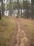 crcuitillo 057.jpg