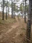 crcuitillo 058.jpg