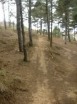 crcuitillo 059.jpg