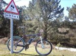 storck 1.jpg