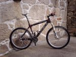 storck 2.jpg