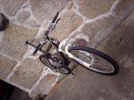 storck 3.jpg