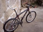 storck 4.jpg