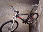 storck 5.jpg