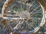 DSC00075.JPG