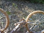 DSC00076.JPG