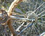 DSC00077.JPG