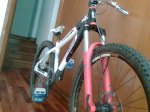 Imagen040.jpg